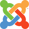 Web Accessibility and ADA Website Compliance by Blissbranding Agency - every website platform accepted